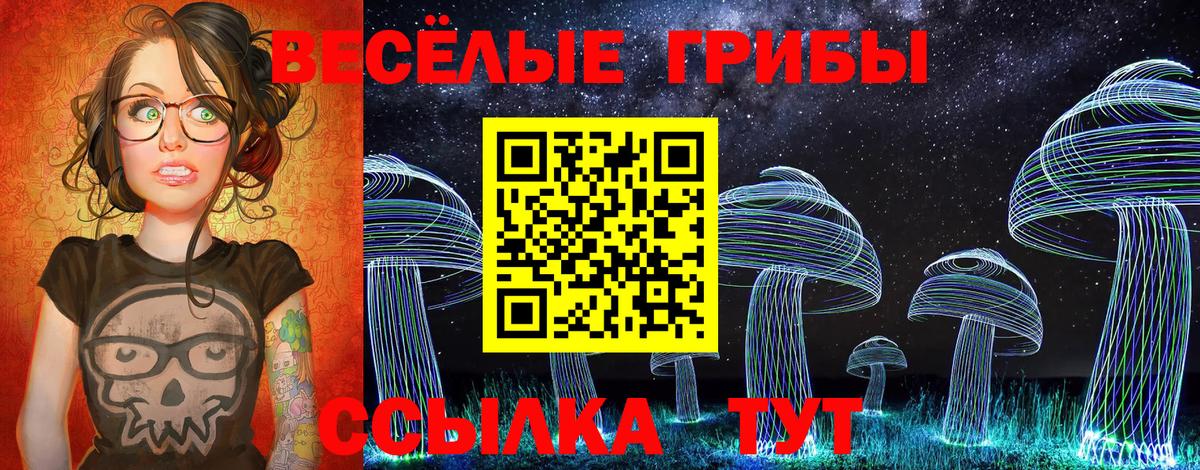 Энгельс  где найти   Вход с VPN  Галлюциногенные грибы Psilocybine cubensis 